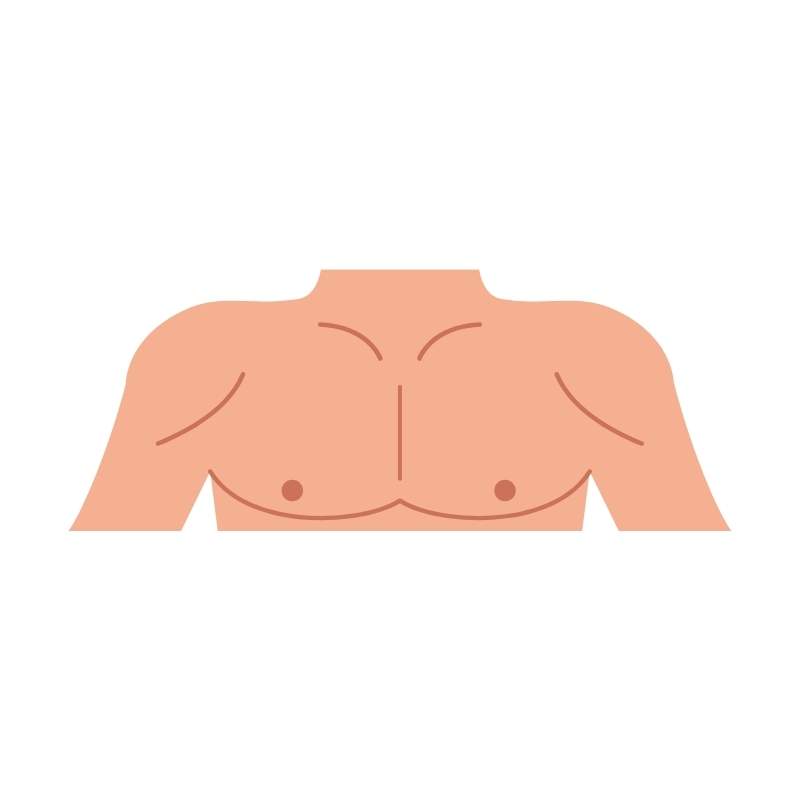 Chest
