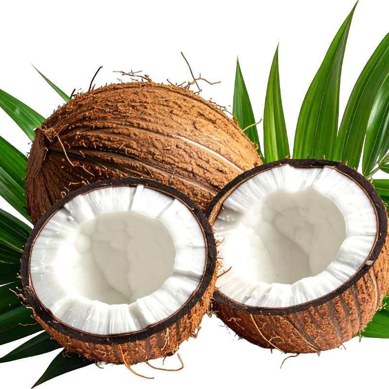 Coconut