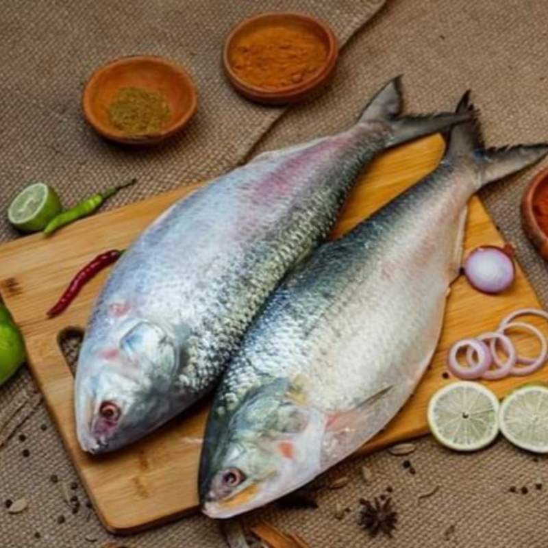Fish