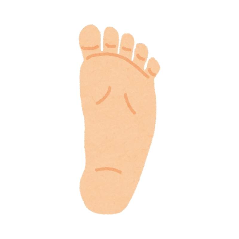 Foot