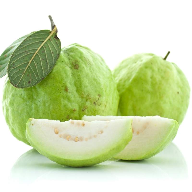 Guava