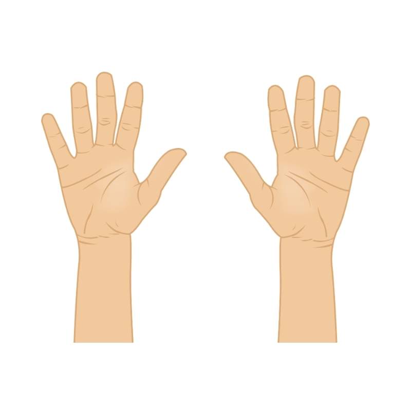 Hand