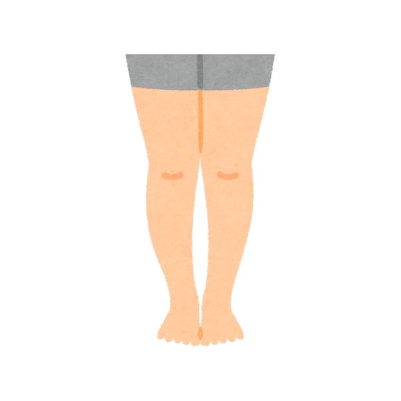 Leg